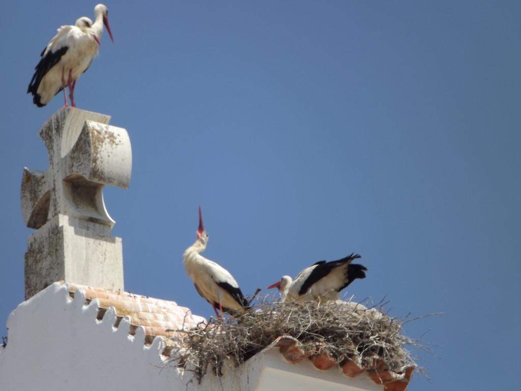 Entrecubos Guesthouse Olhão Eksteriør bilde