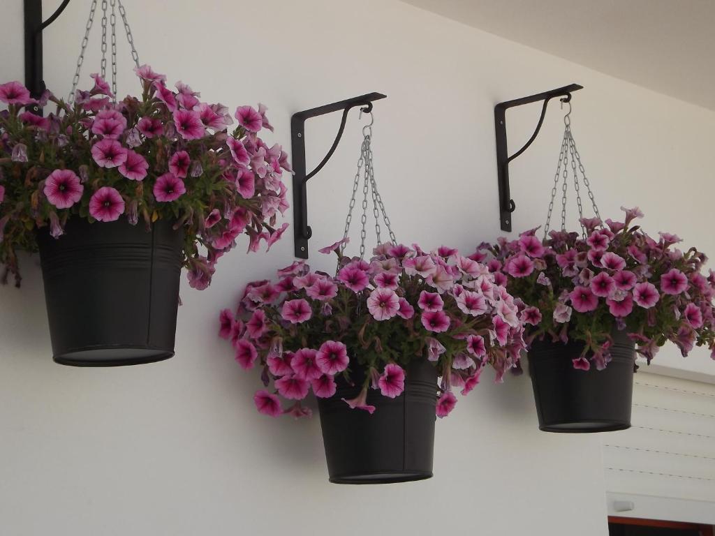 Entrecubos Guesthouse Olhão Rom bilde